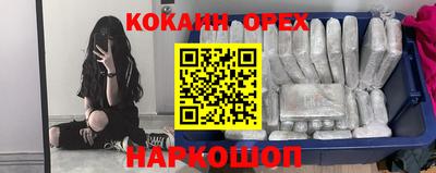 крисы Дубна