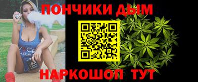 крисы Дубна