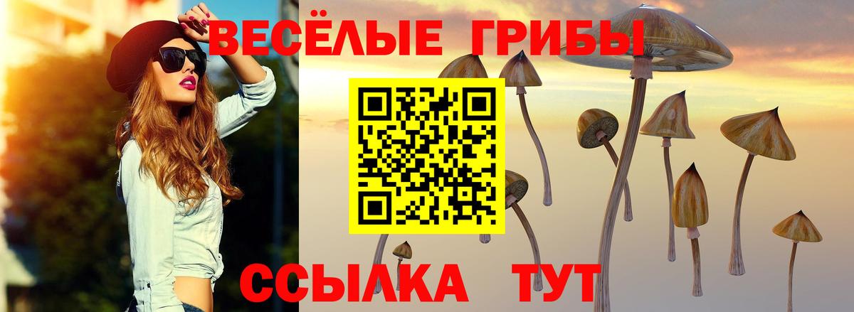 Луга  купить наркотик  Вход с VPN  Галлюциногенные грибы Cubensis 